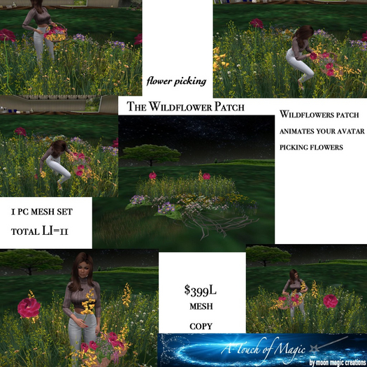 The wildflower patch picking flowers-Box LI=11
