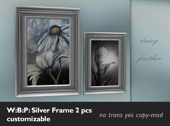 W:B:P: Silver Frame Set  2 Pcs