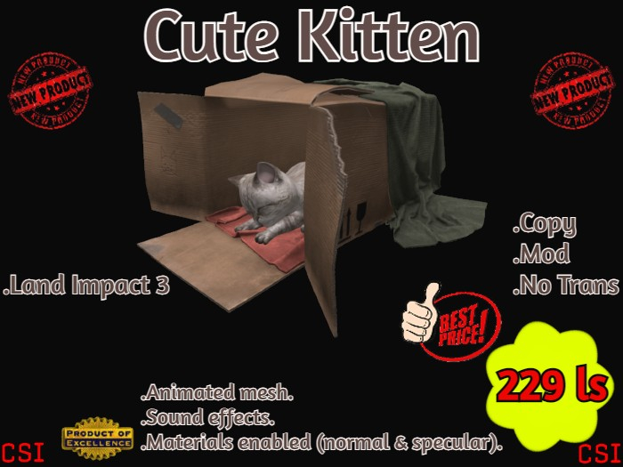 Cute Kitten (box)