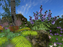 RW - Summer spring trees flower rock border garden *Clavet* c/m