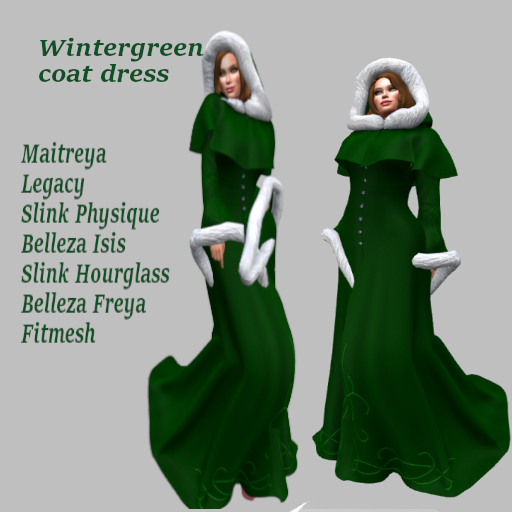 Wintergreen Coat Dress