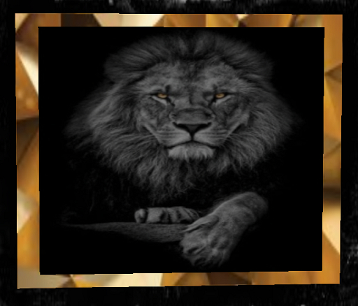 Gold Eye Tiger