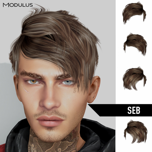 Modulus - Seb Hair - Style HUD +