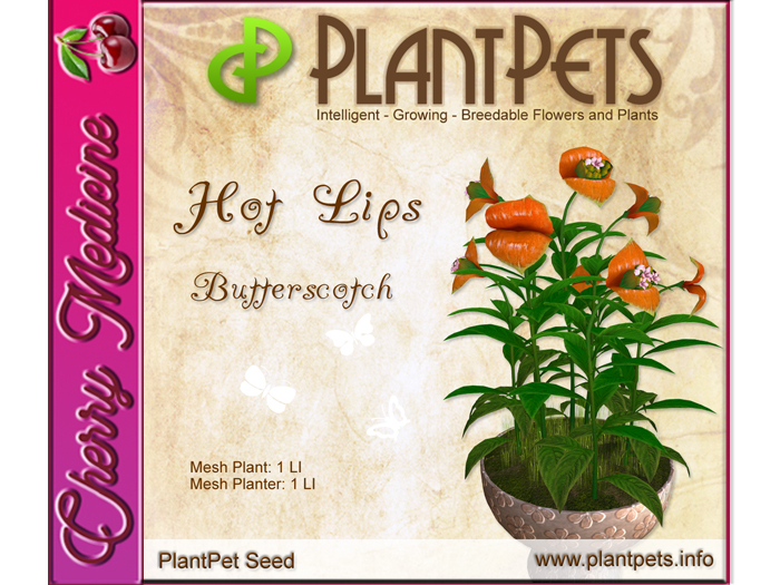 PlantPet Seed [Hot Lips *Butterscotch*]