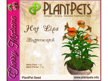 PlantPet Seed [Hot Lips *Butterscotch*]