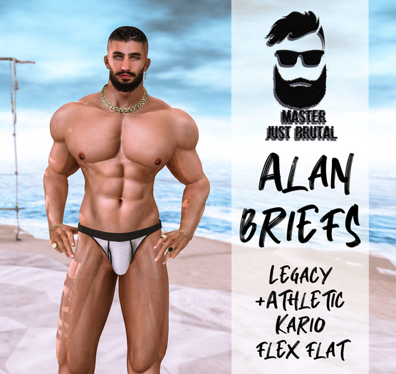 MJB Alan briefs DEMO