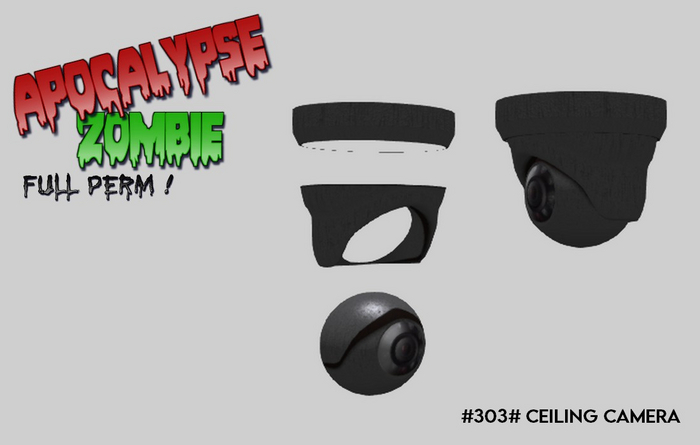 #303# Ceiling Camera #