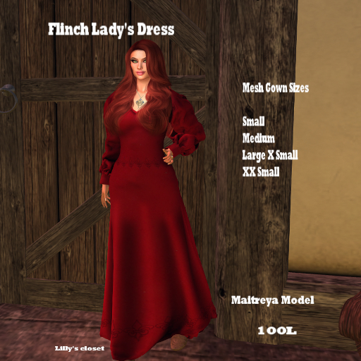 Flinch Lady's Dress