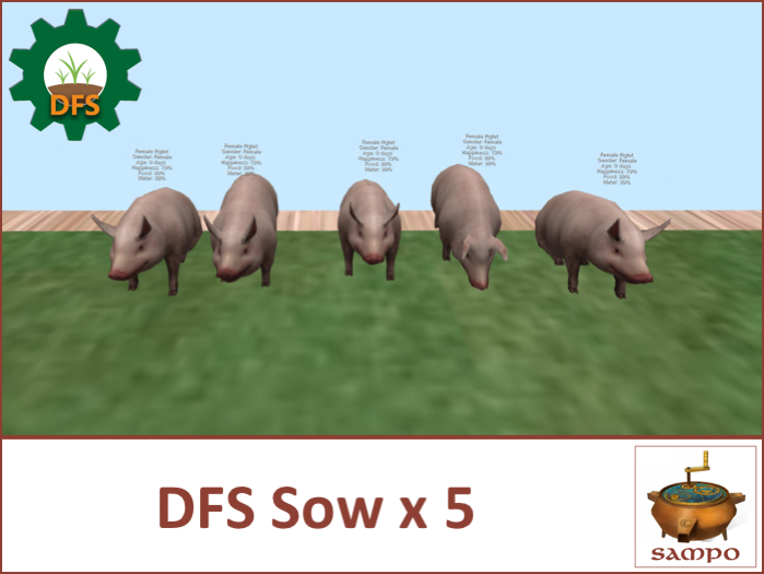 DFS Sow x 5