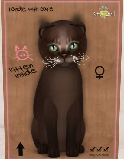 Meow Manor-Abyssinian - Dark Chocolate