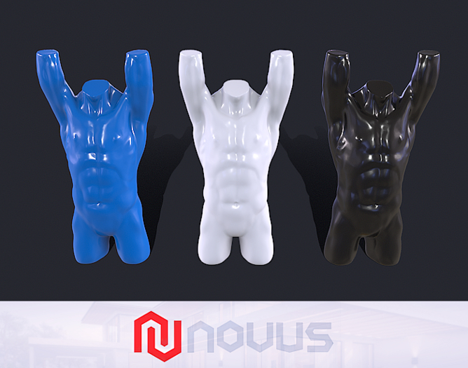 Male Torso Mannequin III - Display {Athletic Strong/Version}