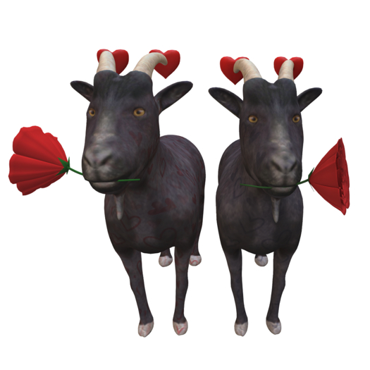 DFS Goat Female & Male - Your Love is the GOAT (2 items)