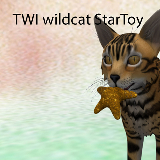 TWI cat mesh toystar 005