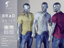 not so bad . mesh . BRAD shirt . full pack 1