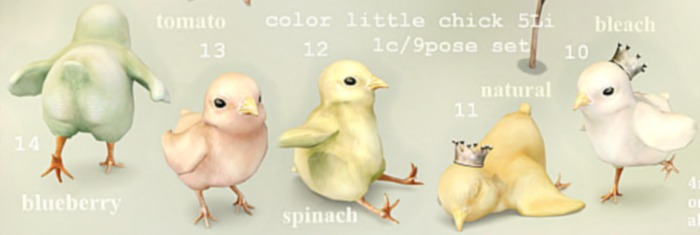 11/{anc} happy end park. color little chick (natural)