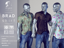 not so bad . mesh . BRAD shirt . full pack 3