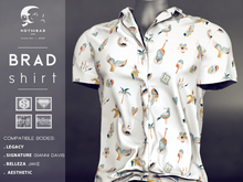 not so bad . mesh . BRAD shirt . summer 
