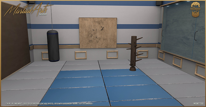 Martial Arts Backdrop BLUE - The Bearded Guy
