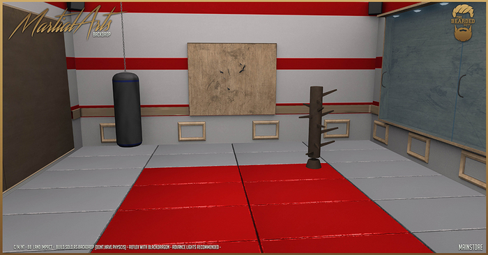 Martial Arts Backdrop RED - The Bearded Guy