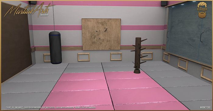 Martial Arts Backdrop PINK - The Bearded Guy