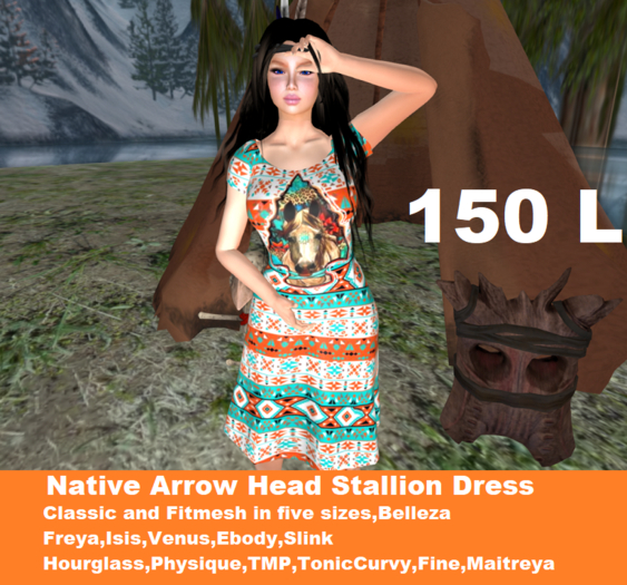 Native Arrow Head Stallion  Dress