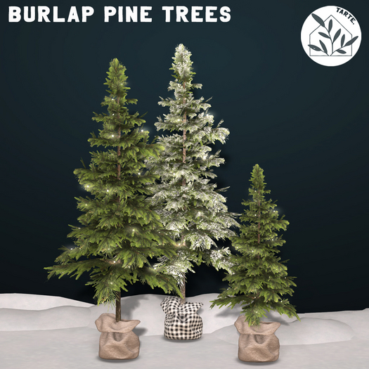 tarte. burlap pine trees