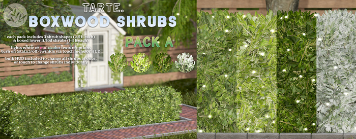 tarte. boxwood shrubs (pack A)