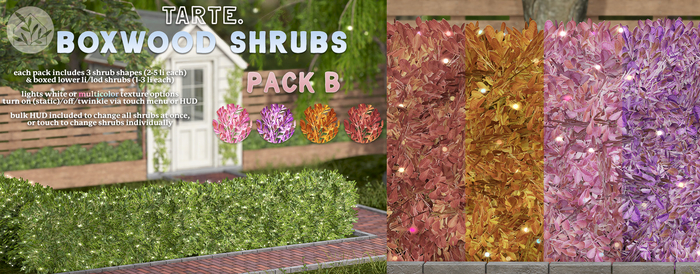 tarte. boxwood shrubs (pack B)