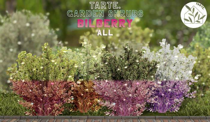tarte. garden shrubs - bilberry (ALL)