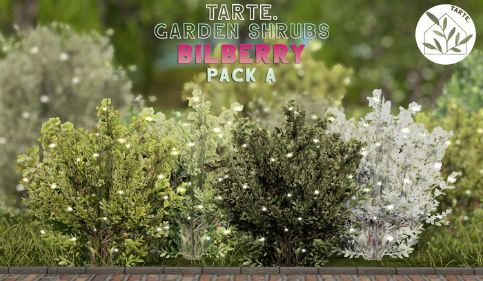 tarte. garden shrubs - bilberry (pack A)