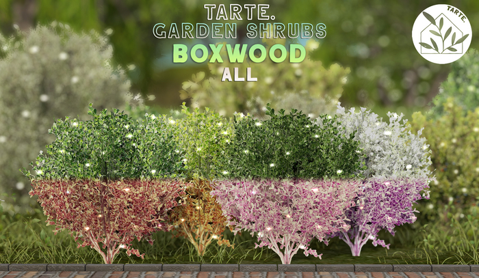 tarte. garden shrubs - boxwood (ALL)