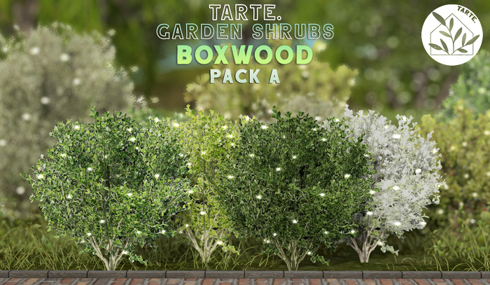 tarte. garden shrubs - boxwood (pack A)