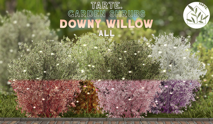 tarte. garden shrubs - downy willow (ALL)