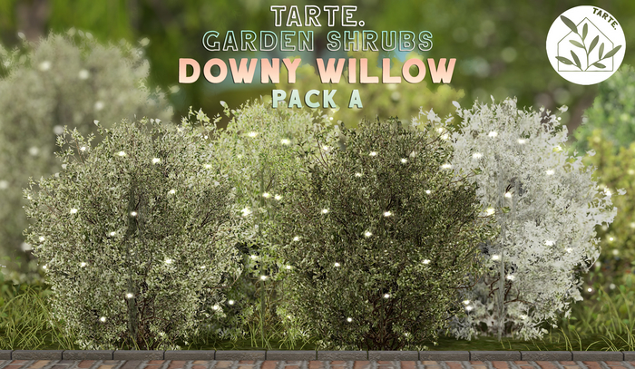 tarte. garden shrubs - downy willow (pack A)