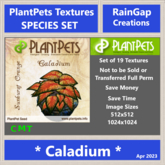 PLANTPETS TEXTURES SET CALADIUM (19)