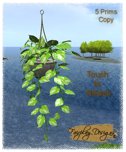 ~R~ Hanging Epipremnum Aureum~Copy~