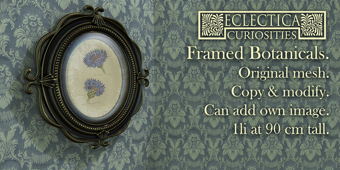 Eclectica- Framed Botanicals-cornflower