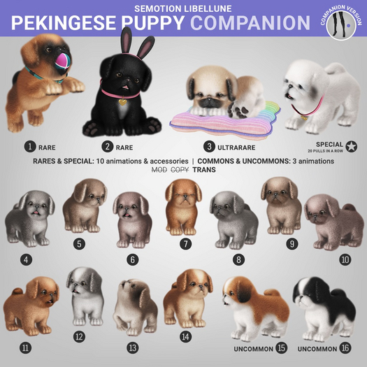 SEmotion Libellune Pekingese Puppy Companion RARE 01