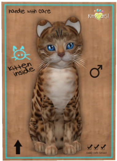 KittyCatS Box - Bengal - Sorell