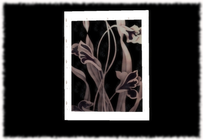 Black&White- Flowers In Dark (!)