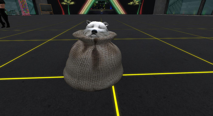 WK Gray Wolf (female)