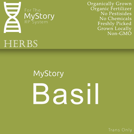 Basil Herb (5) - [MyStory]
