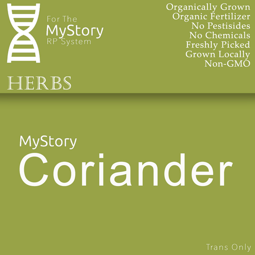 Coriander Herb (5) - [MyStory]