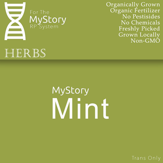 Mint Herb (5) - [MyStory]