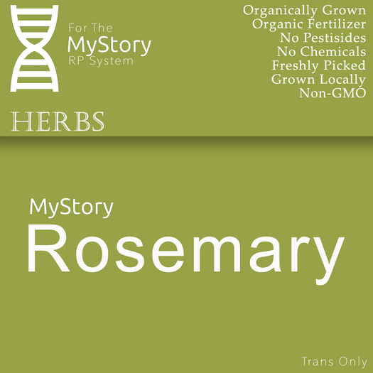 Rosemary Herb (5) - [MyStory]