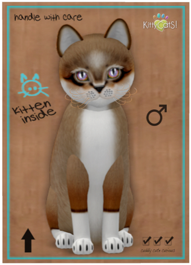 KittyCatS Box - Foxie - Chestnut