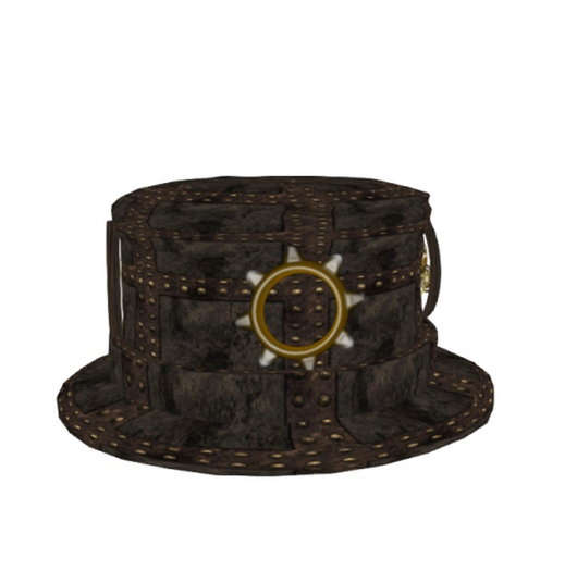STEAM LIVING HAT