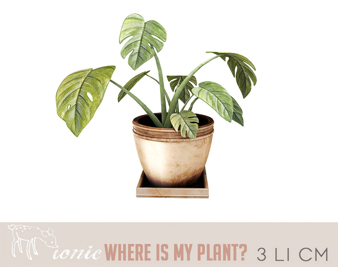 ionic - where is my plant?