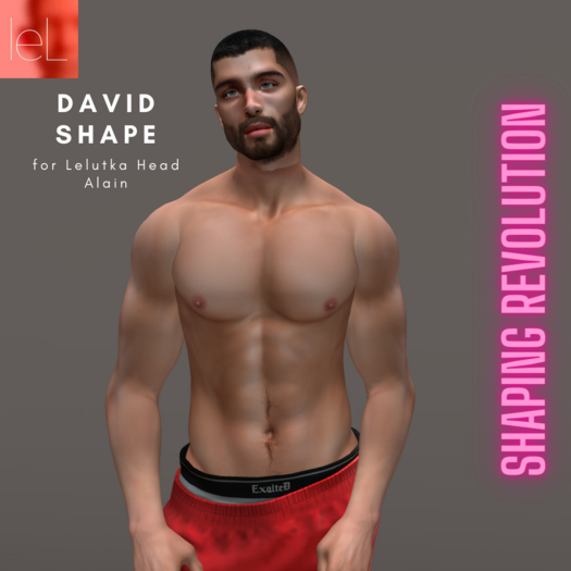 [Shaping Revolution] David Shape for Lelutka Alain Head
