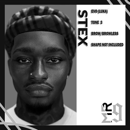 Stex Skin Demo (EVO)